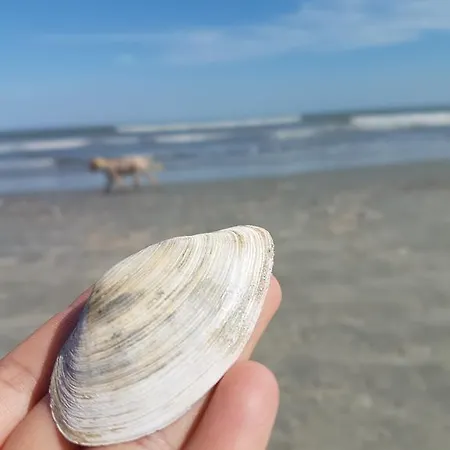Sea Life Нэводари