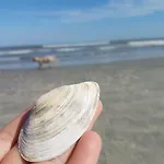 Sea Life Năvodari